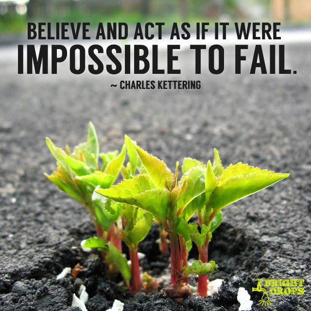 “Believe and act as if it were impossible to fail.” ~ Charles Kettering