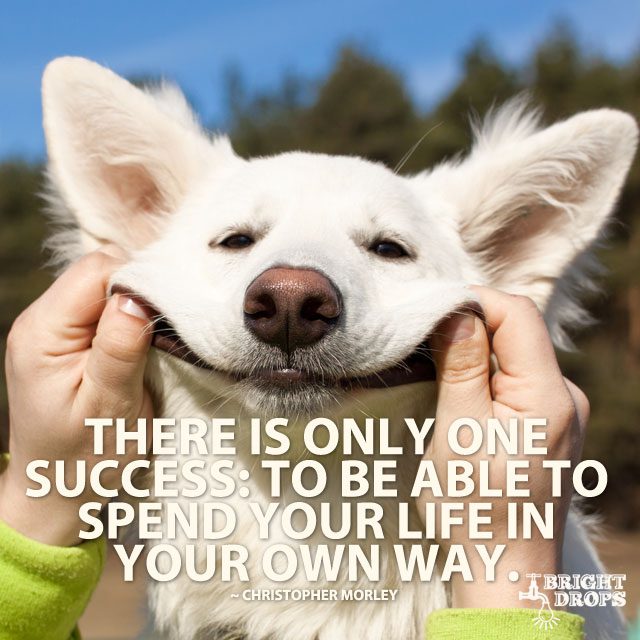 “There is only one success: to be able to spend your life in your own way.” ~ Christopher Morley