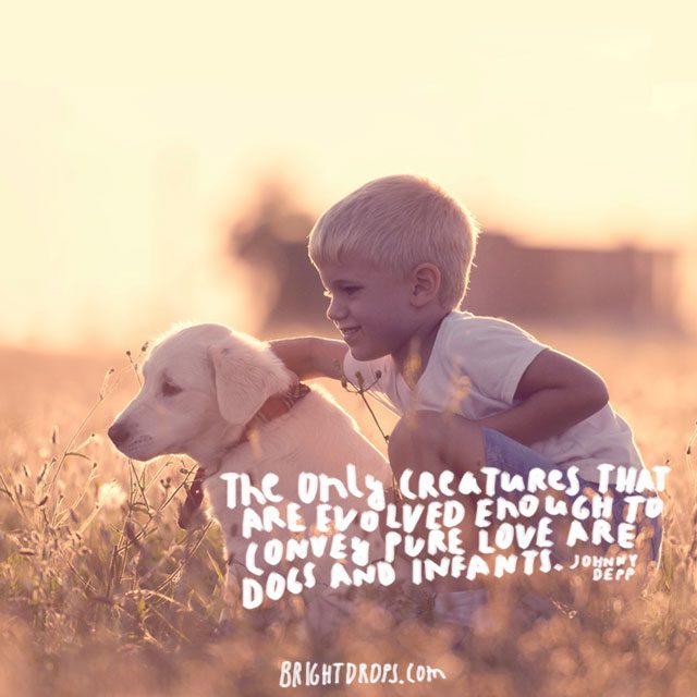 “The only creatures that are evolved enough to convey pure love are dogs and infants.” ~ Johnny Depp