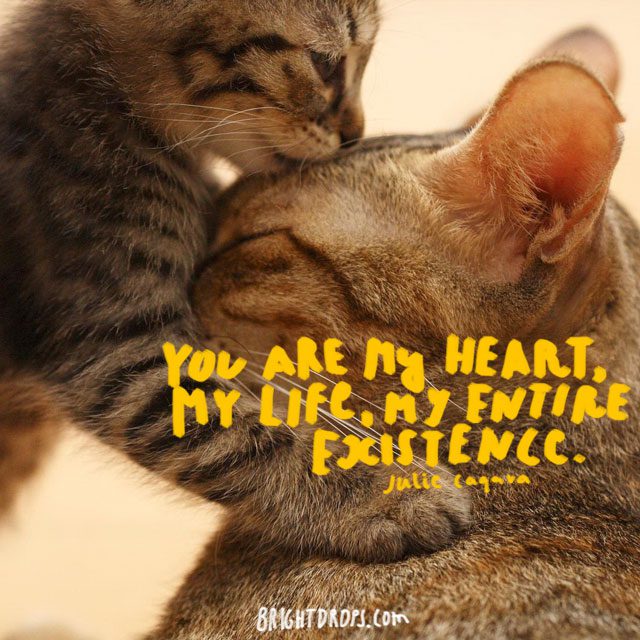 “You are my heart, my life, my entire existence.” ~ Julie Kagawa