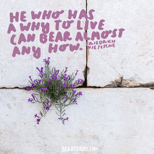 “He who has a why to live can bear almost any how.” - Friedrich Nietzsche