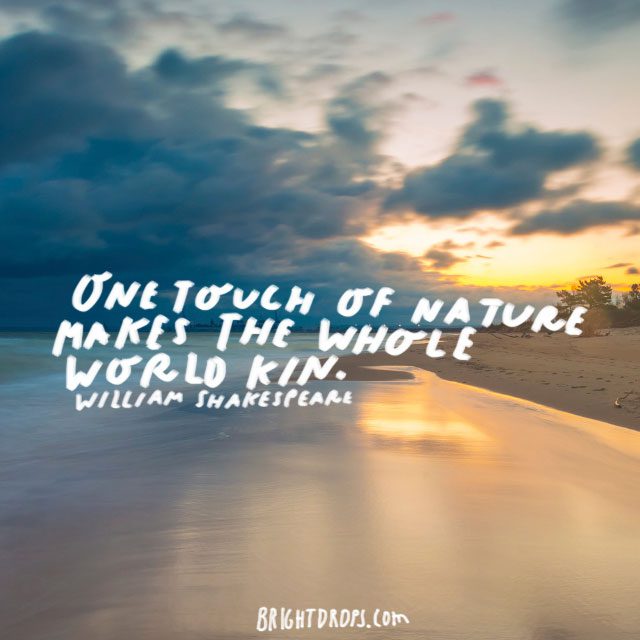 “One touch of nature makes the whole world kin.” - William Shakespeare