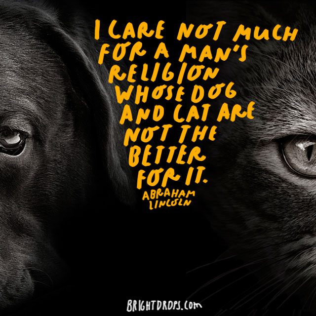 “I care not much for a man's religion whose dog and cat are not the better for it.” - Abraham Lincoln