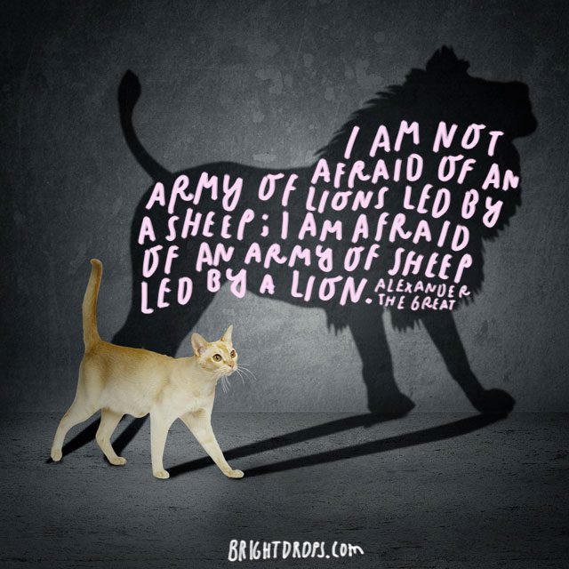 "I am not afraid of an army of lions led by a sheep; I am afraid of an army of sheep led by a lion.