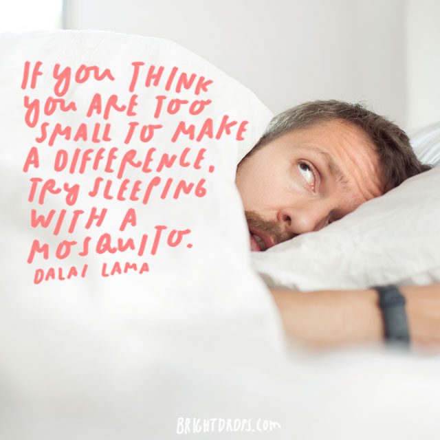 “If you think you are too small to make a difference, try sleeping with a mosquito.” - Dalai Lama