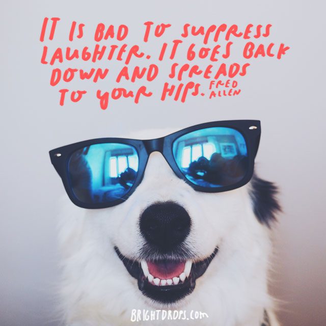 15 Funny Motivational Quotes to Inspire You | Bright Drops