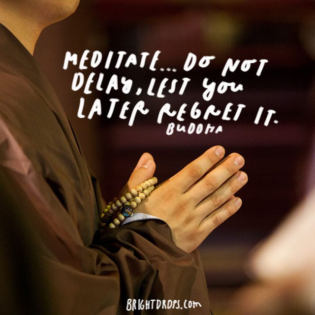 “Meditate … do not delay, lest you later regret It.” – Buddha