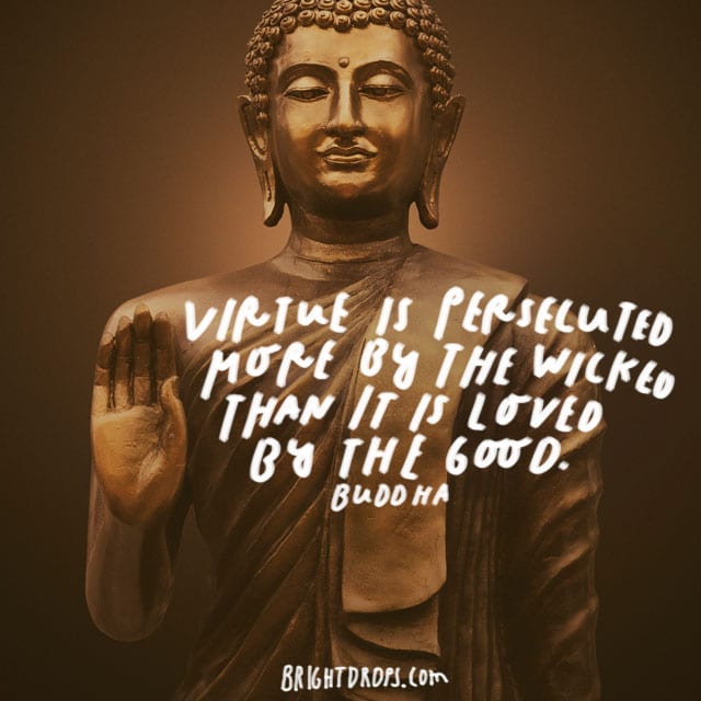 “Virtue is persecuted more by the wicked than it is loved by the good.” – Buddha