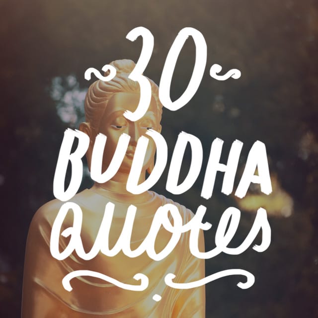 buddha says about life