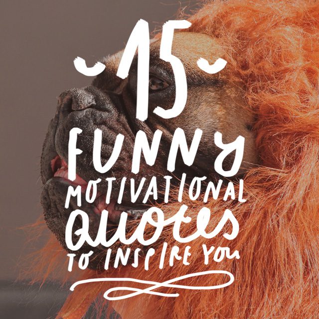 Motivation can be hard to come by on some days. If you'd like not only some motivation but some laughs, scroll through our list of funny motivational quotes.