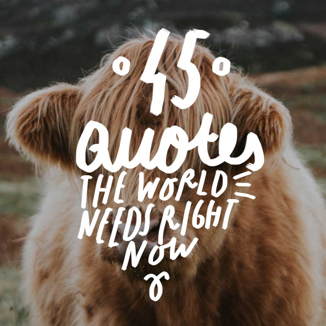 most-inspirational-quotes-in-the-world-dierenambulanceverhalen