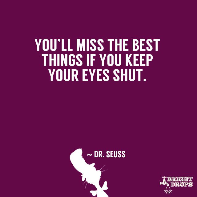 37 Dr  Seuss  Quotes  That Can Change the World Bright Drops