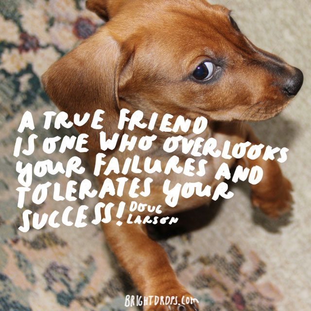 18 Funny Quotes to Send to Your Best Friend - Bright Drops