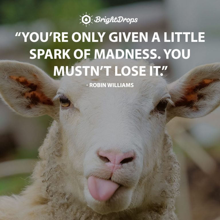 142 Funny (And Relatable) Inspirational Quotes To Celebrate Life