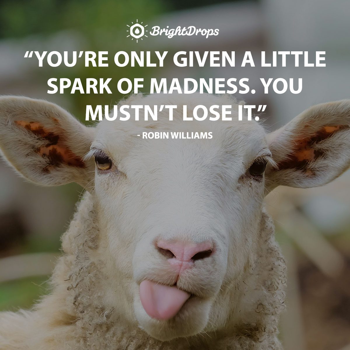 142 Funny (And Relatable) Inspirational Quotes to Celebrate Life