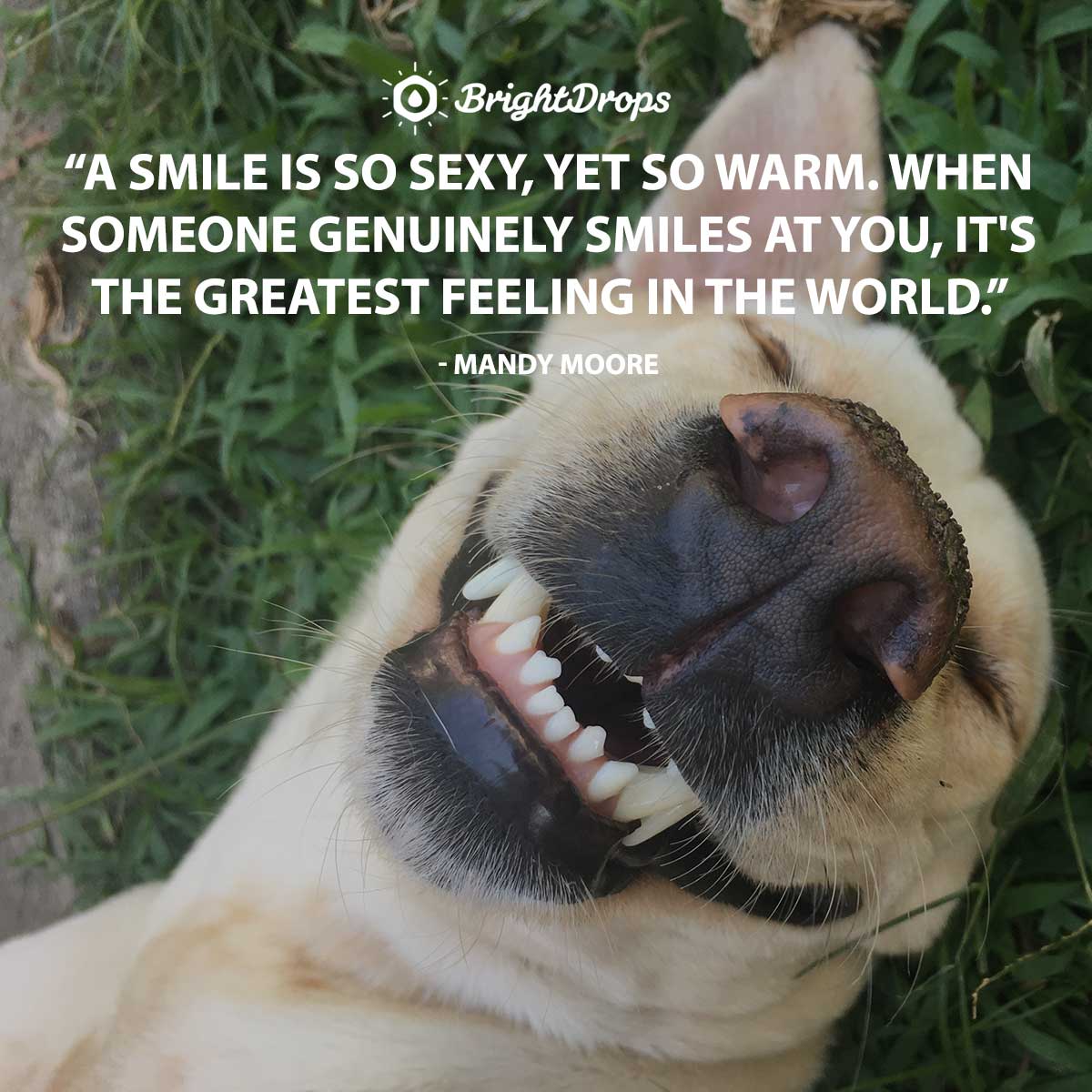 28 Smile Quotes On The Power Of Smiling 