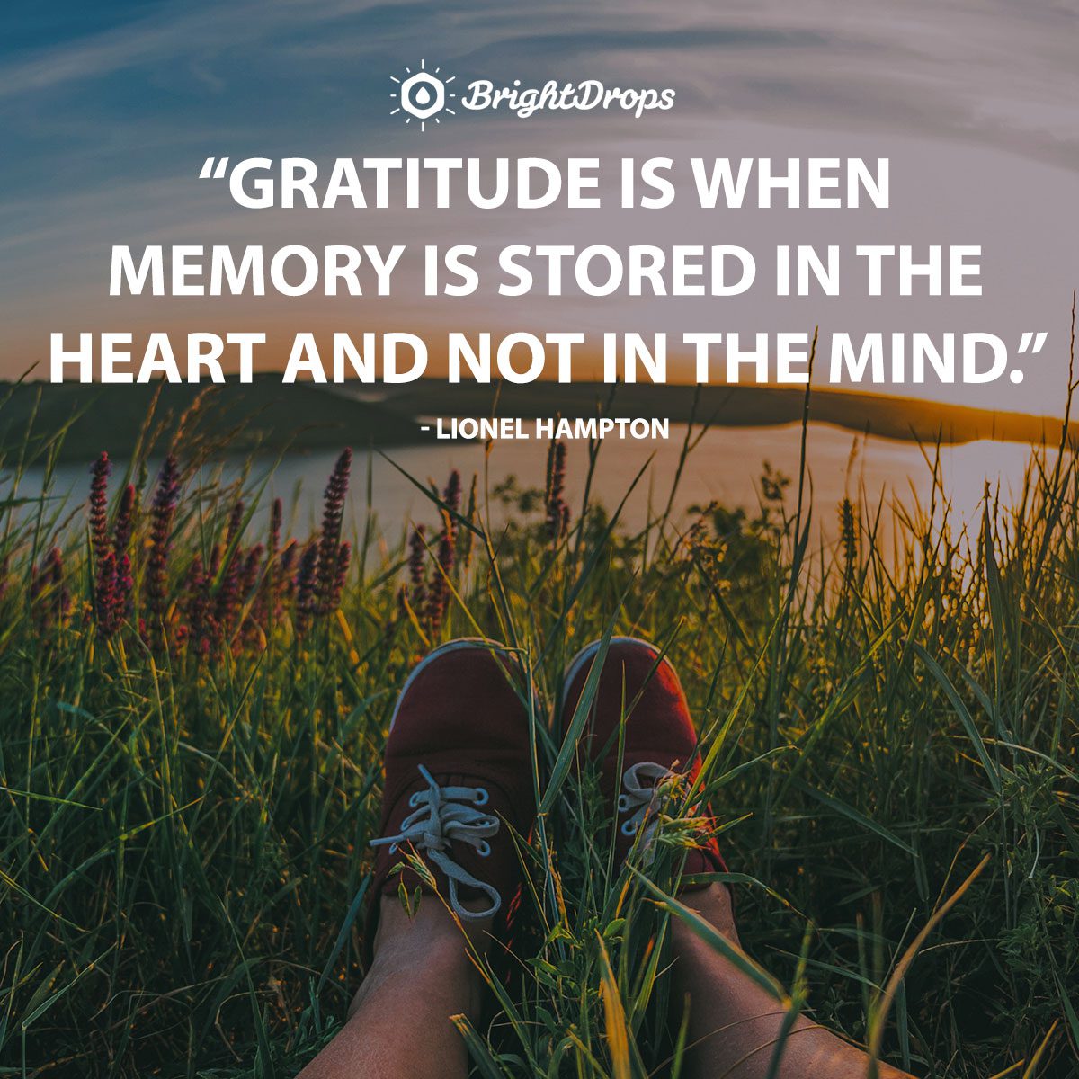 37 Gratitude Quotes to Make You Appreciate Your Life and Relationships - Bright Drops