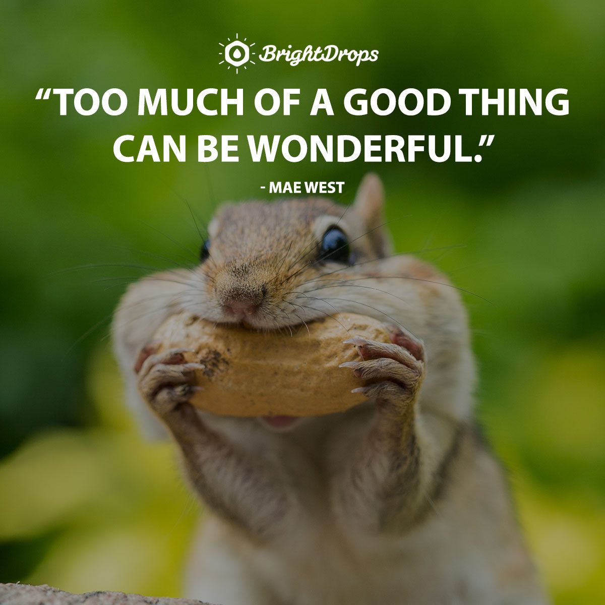 142 Funny (And Relatable) Inspirational Quotes to Celebrate Life