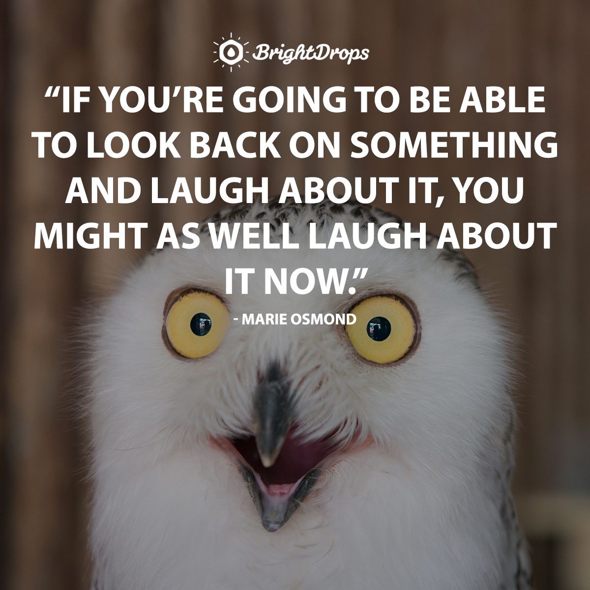 142 Funny And Relatable Inspirational Quotes To Celebrate Life 