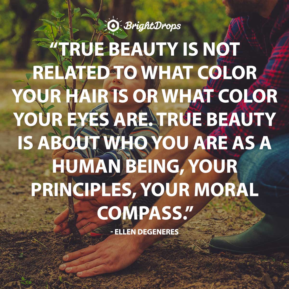 The 45 Most Inspiring Beauty Quotes Of All Time