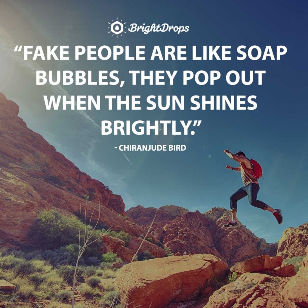 28-relatable-quotes-on-fake-people-bright-drops