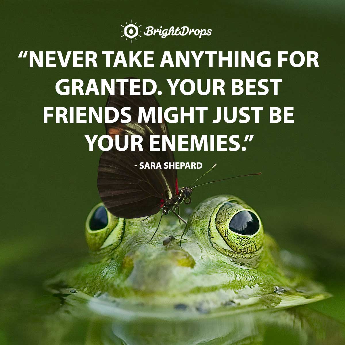 28 Relatable Quotes on Fake People - Bright Drops