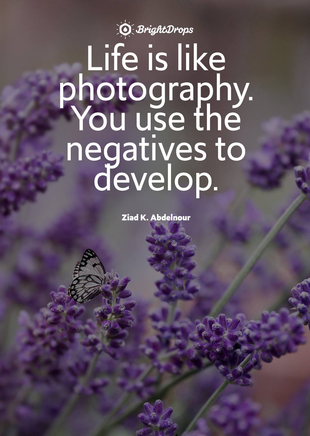 Life is like photography. You use the negatives to develop. - Ziad K. Abdelnour