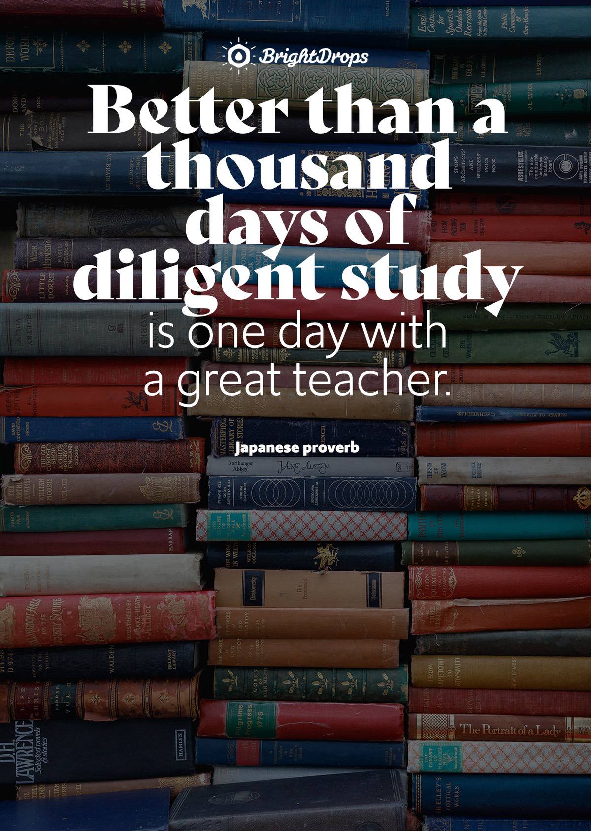 Better than a thousand days of diligent study is one day with a great teacher. - Japanese proverb