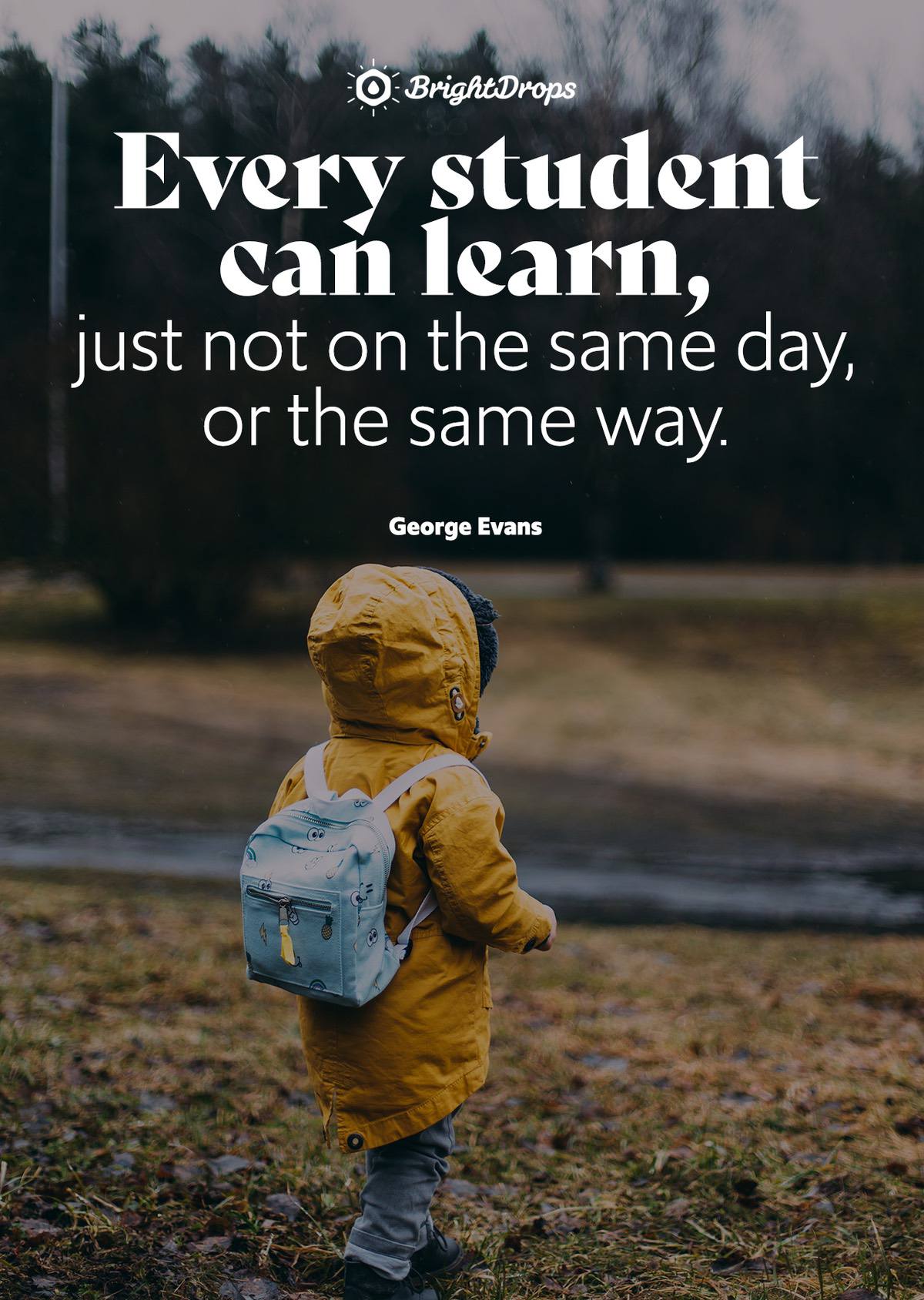 Every student can learn, just not on the same day, or the same way. - George Evans
