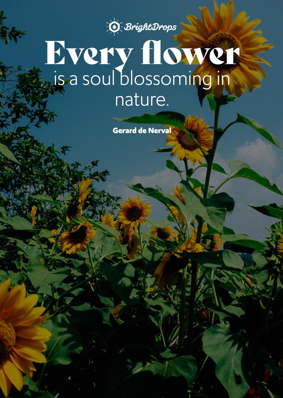 quotes about nature and life