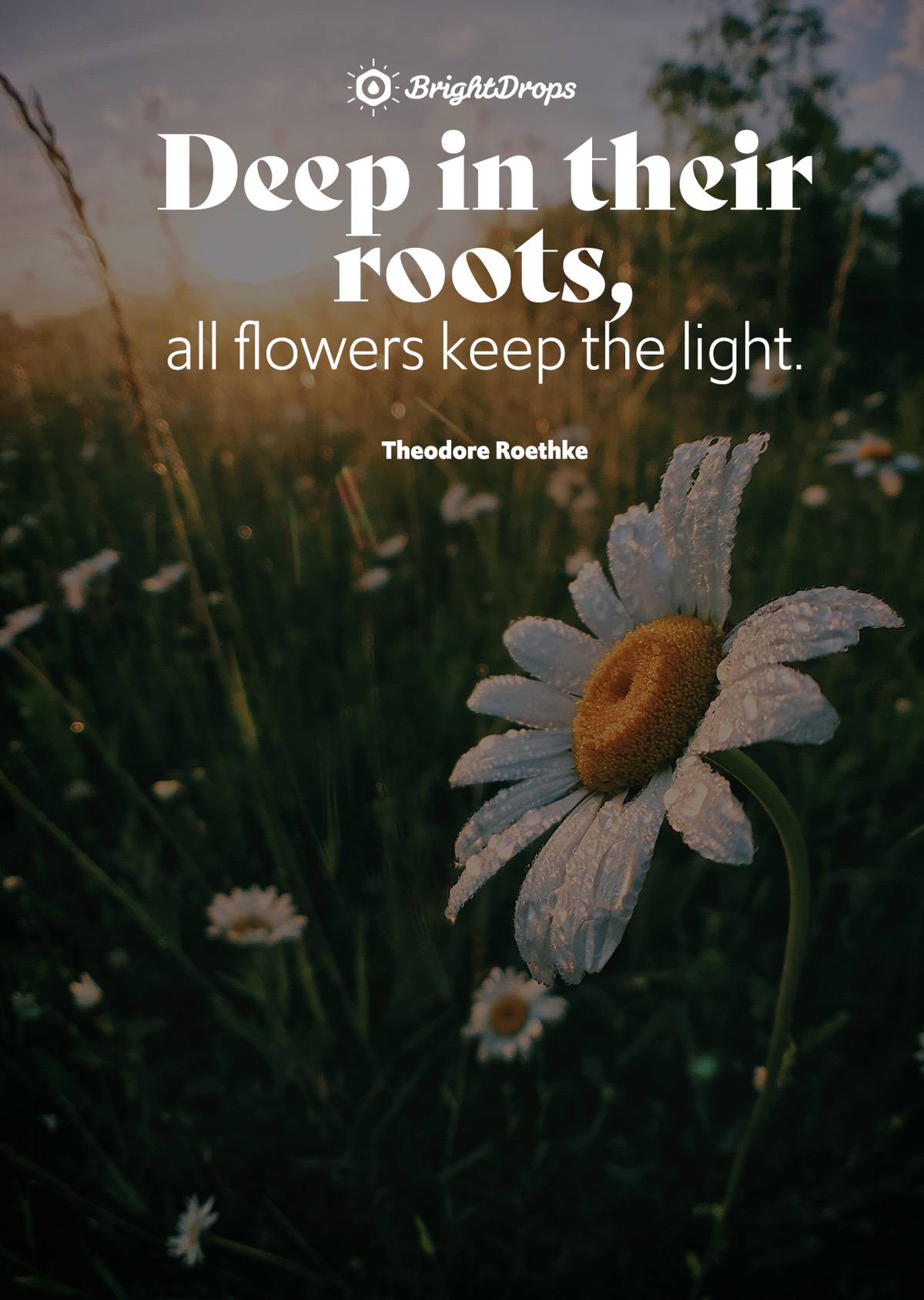 Nature Quotes