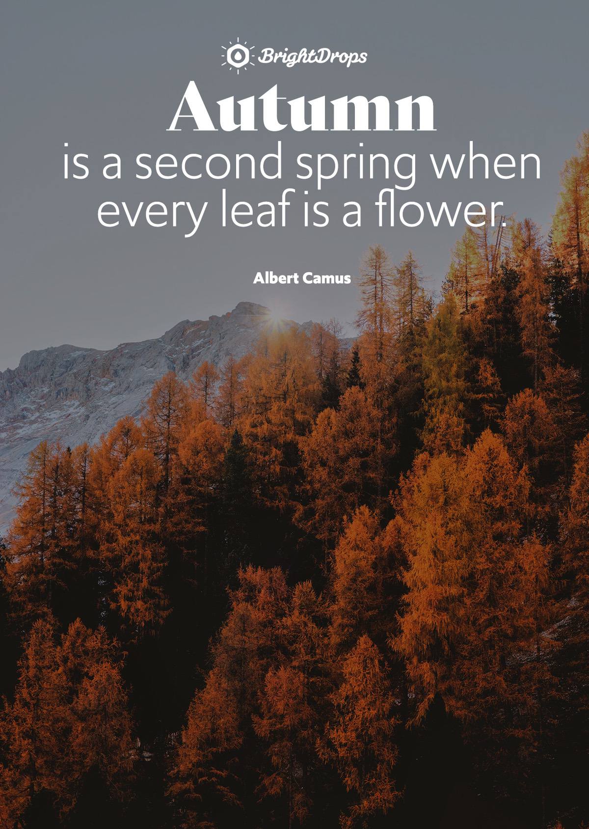 Inspirational nature quotes