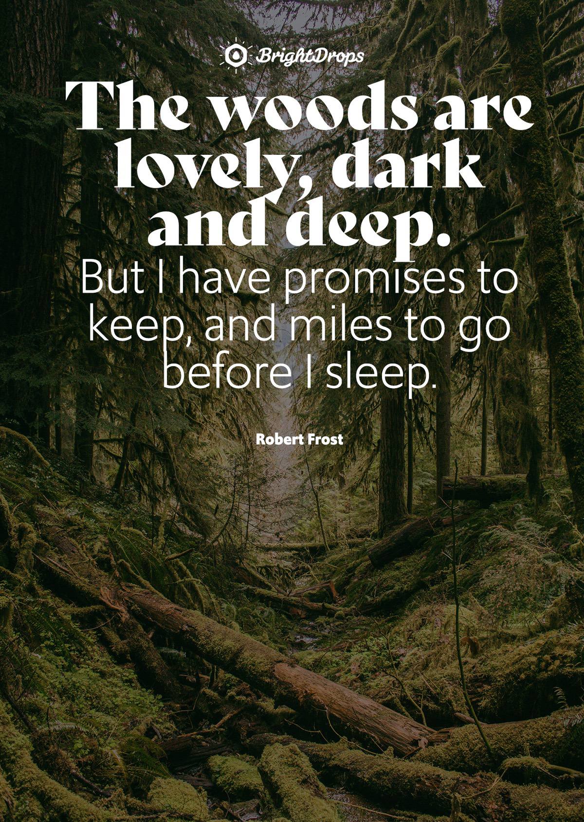 Nature Quotes