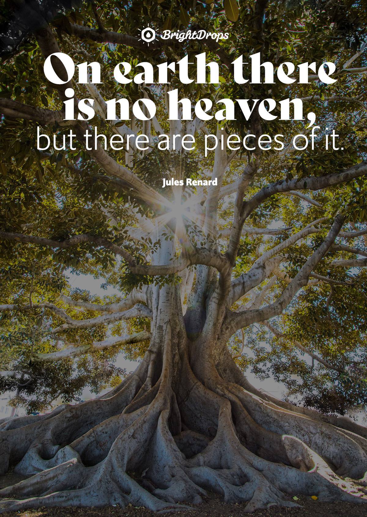 nature quotes