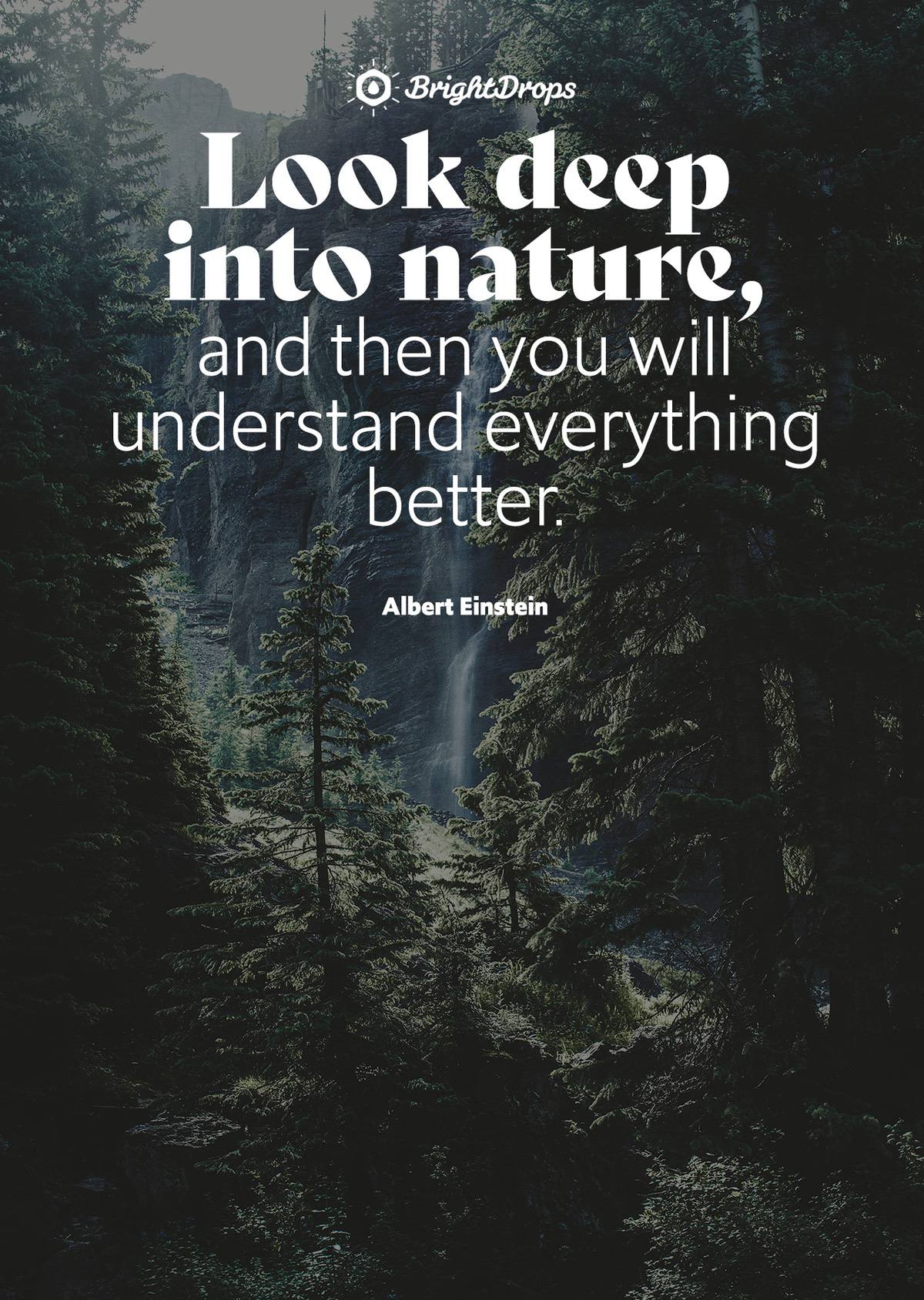 105 Nature Quotes on Life and Its Beauty