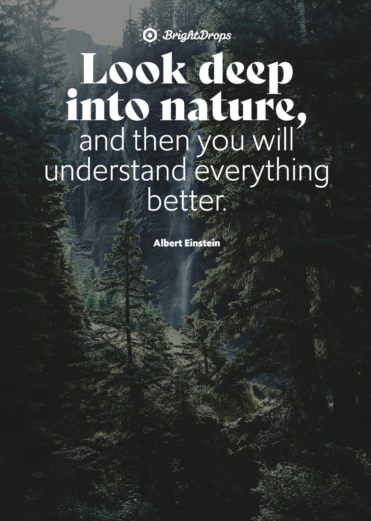 Nature Quotes Homecare24