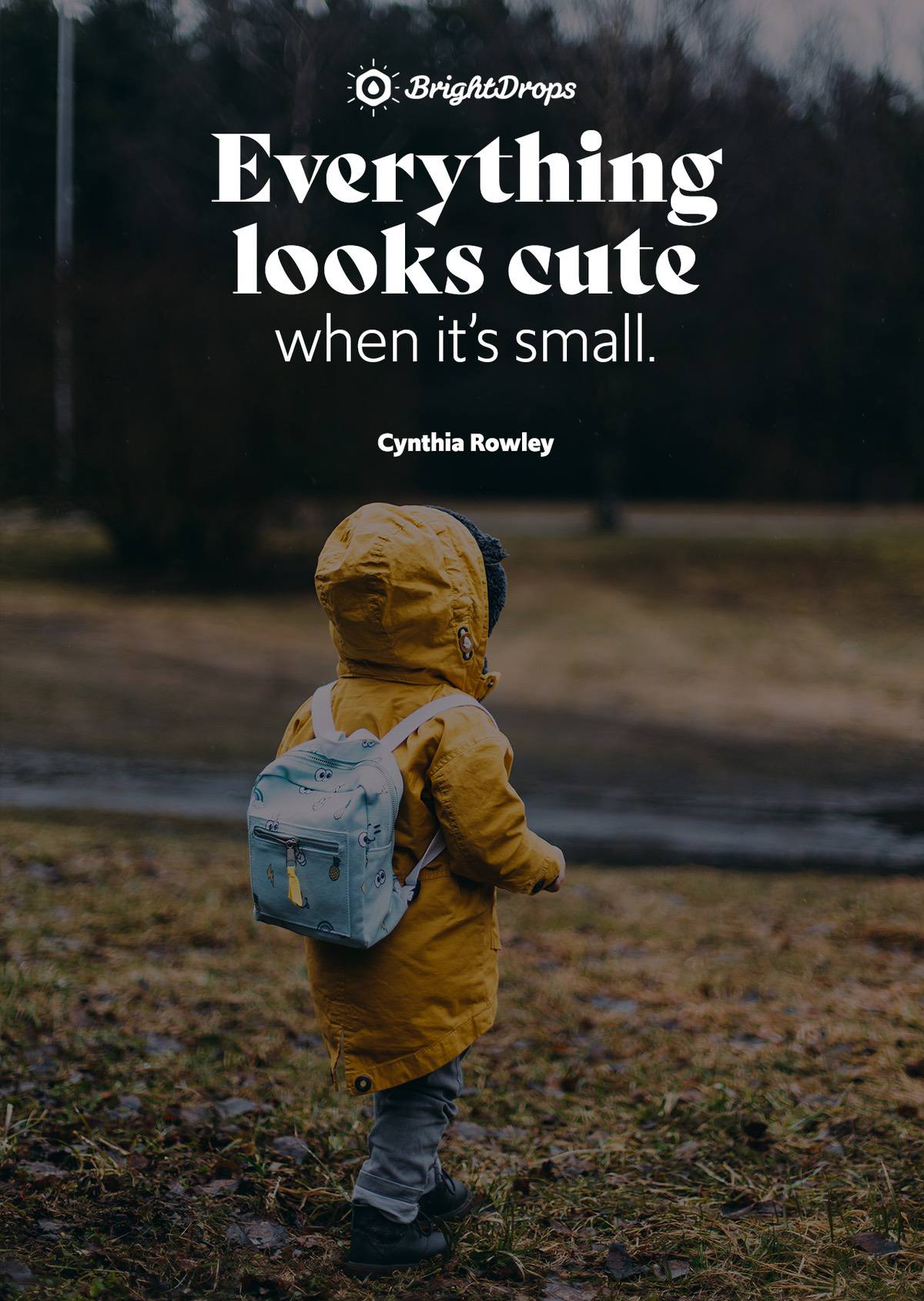 105 Cute Quotes on Everything - Bright Drops