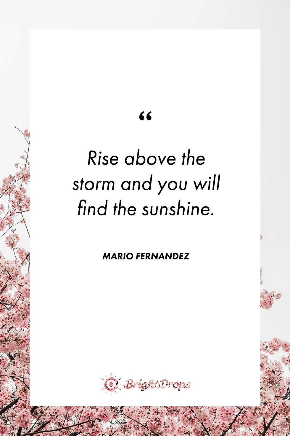 Mario Fernández Quote: “Rise above the storm and you will find the  sunshine.”