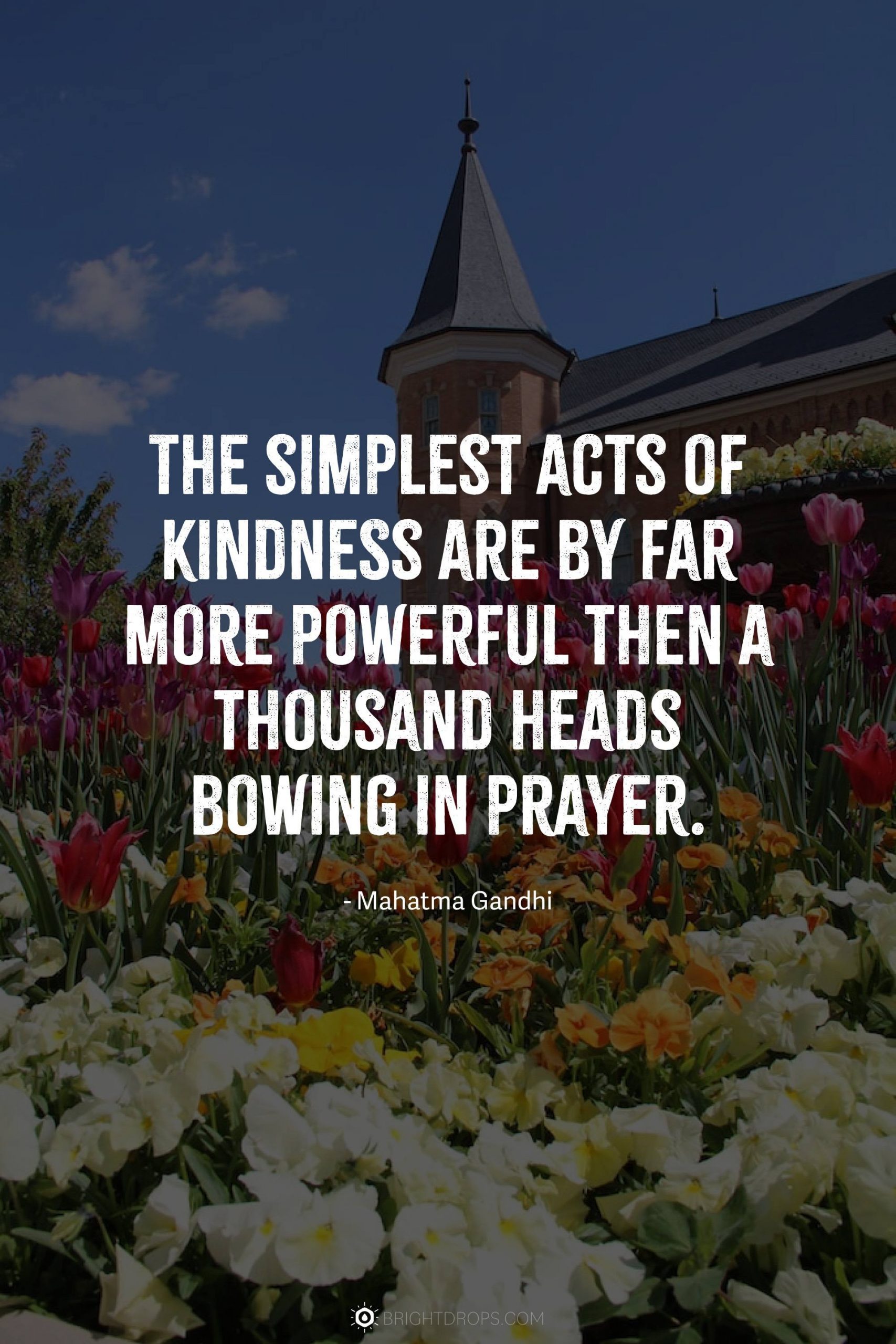 87 Kindness Quotes That Will Change You Bright Drops