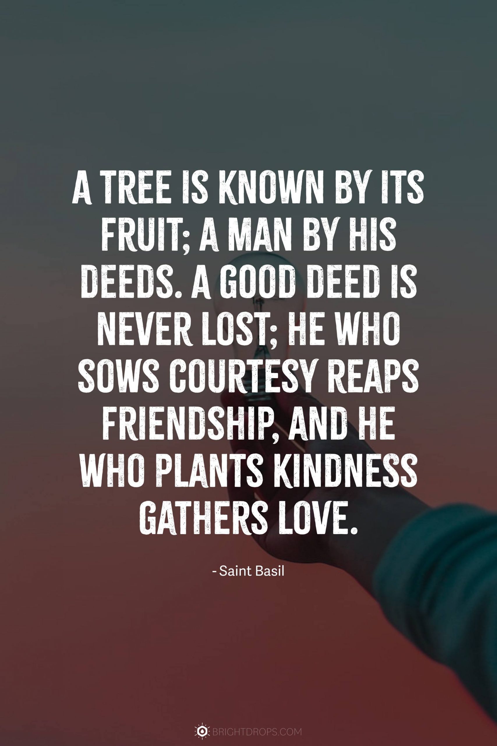 A tree is known by its fruit; a man by his deeds. A good deed is never lost; he who sows courtesy reaps friendship, and he who plants kindness gathers love.