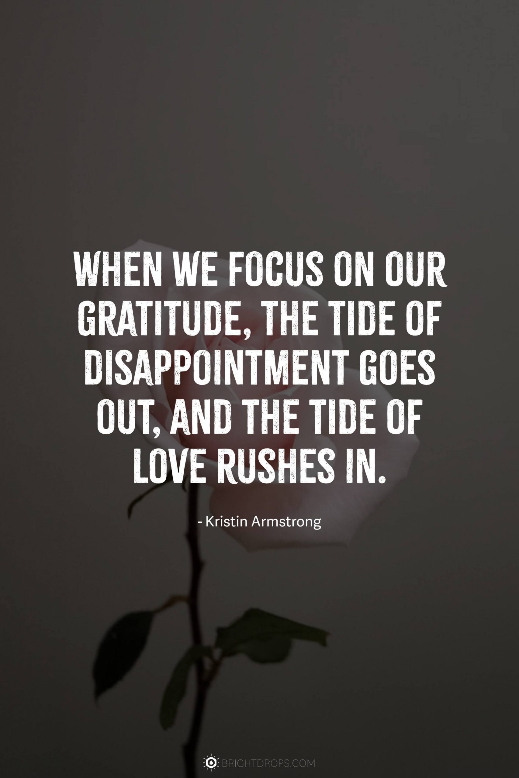 When we focus on our gratitude, the tide of disappointment goes out, and the tide of love rushes in.