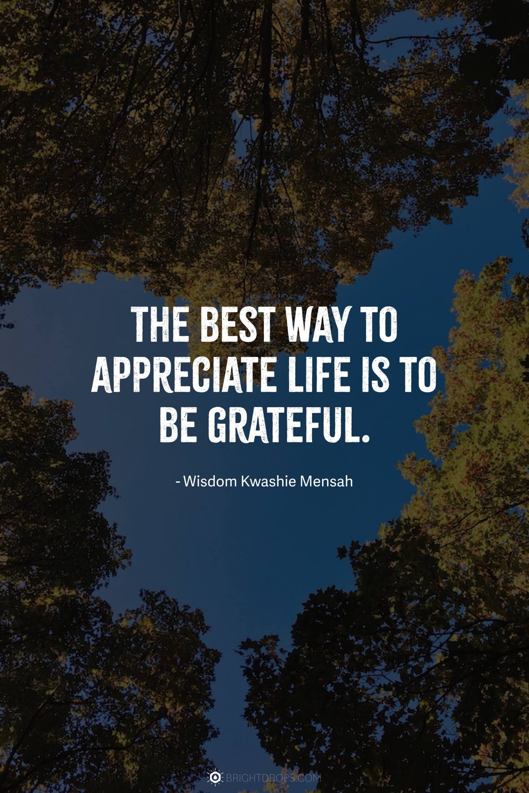 The best way to appreciate life is to be grateful.