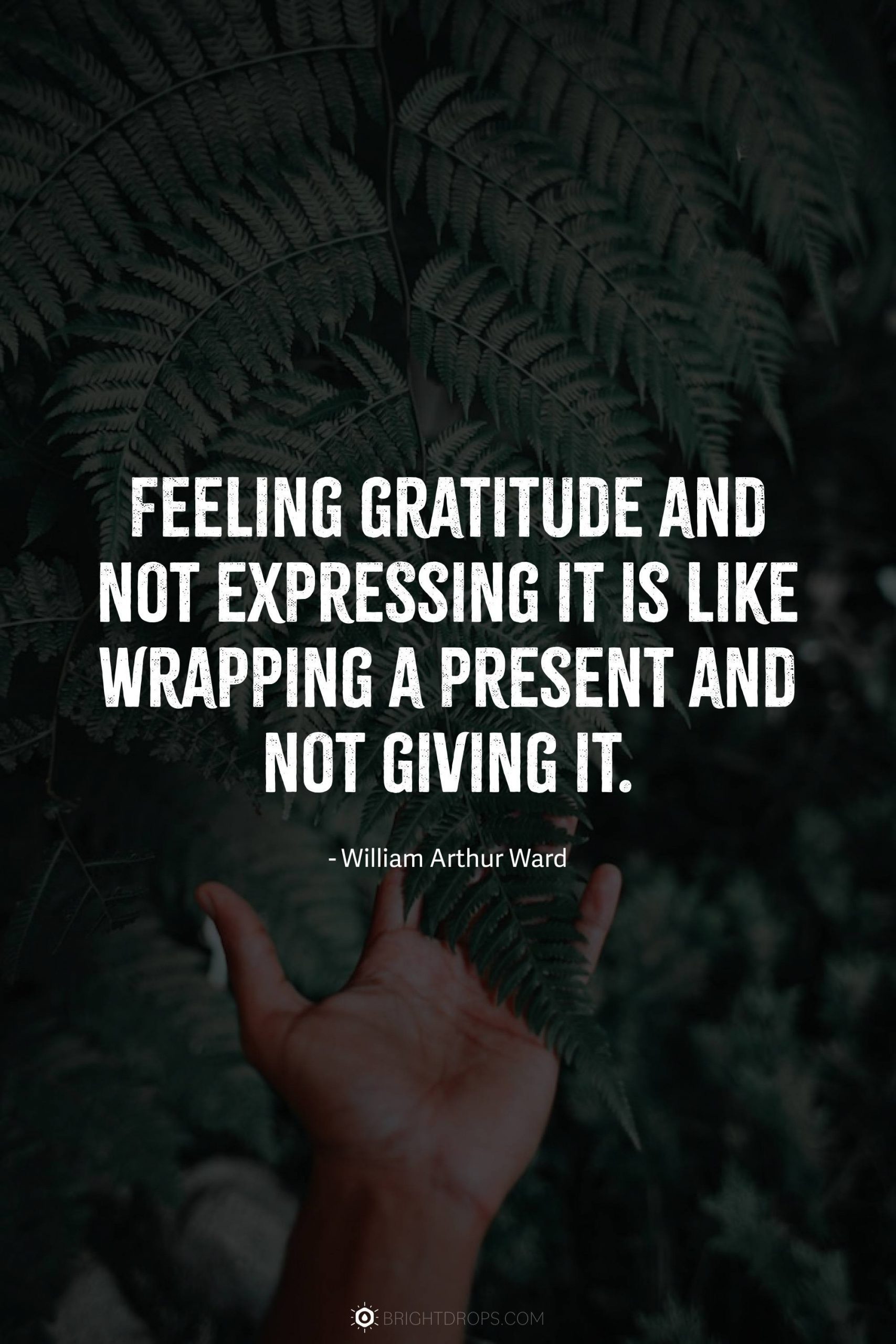 Feeling gratitude and not expressing it is like wrapping a present and not giving it.