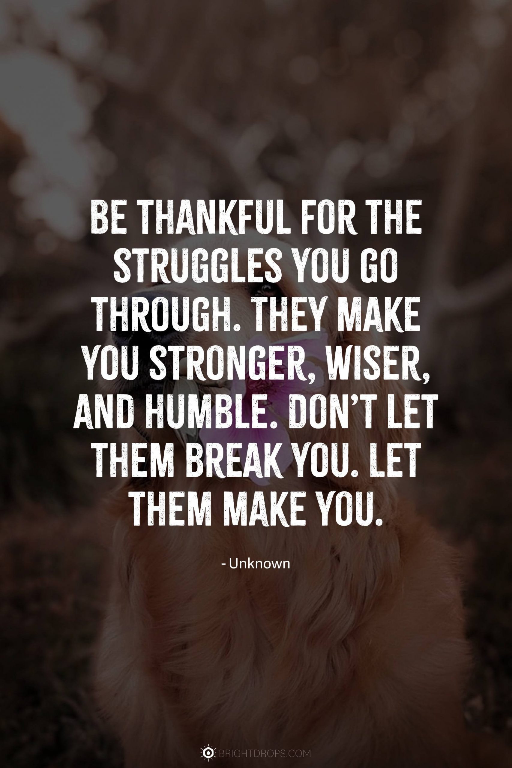 Be thankful for the struggles you go through. They make you stronger, wiser, and humble. Don’t let them break you. Let them make you.