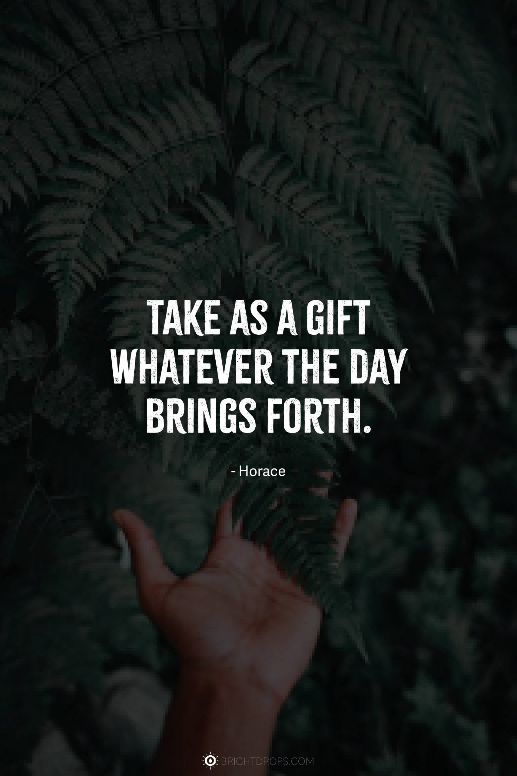 Take as a gift whatever the day brings forth.