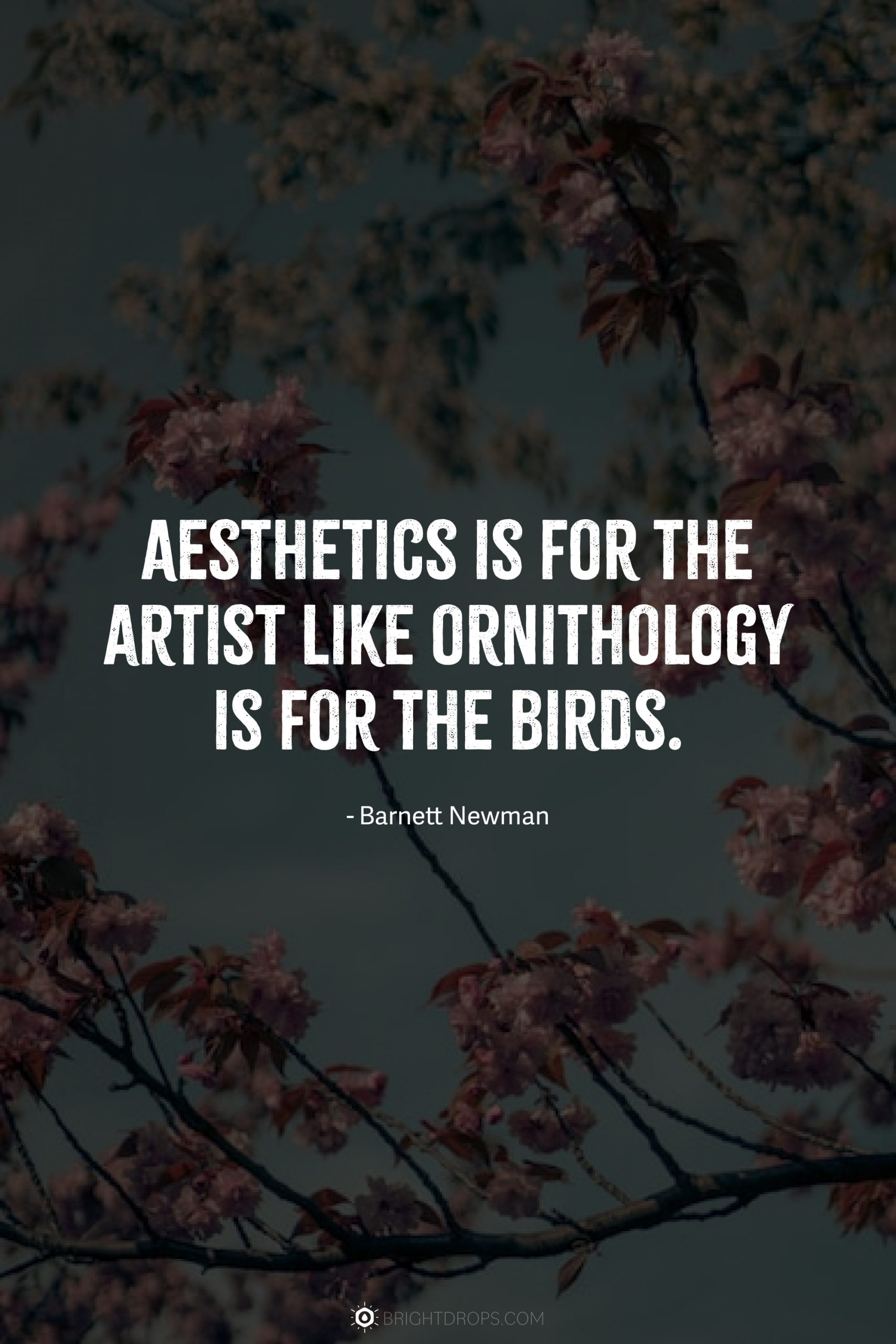 107 Best Aesthetic Quotes (2023) - Bright Drops