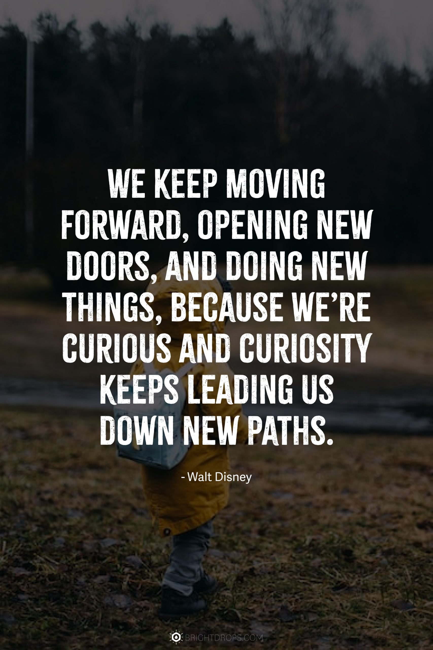 We keep moving forward, opening new doors, and doing new things, because we’re curious and curiosity keeps leading us down new paths.