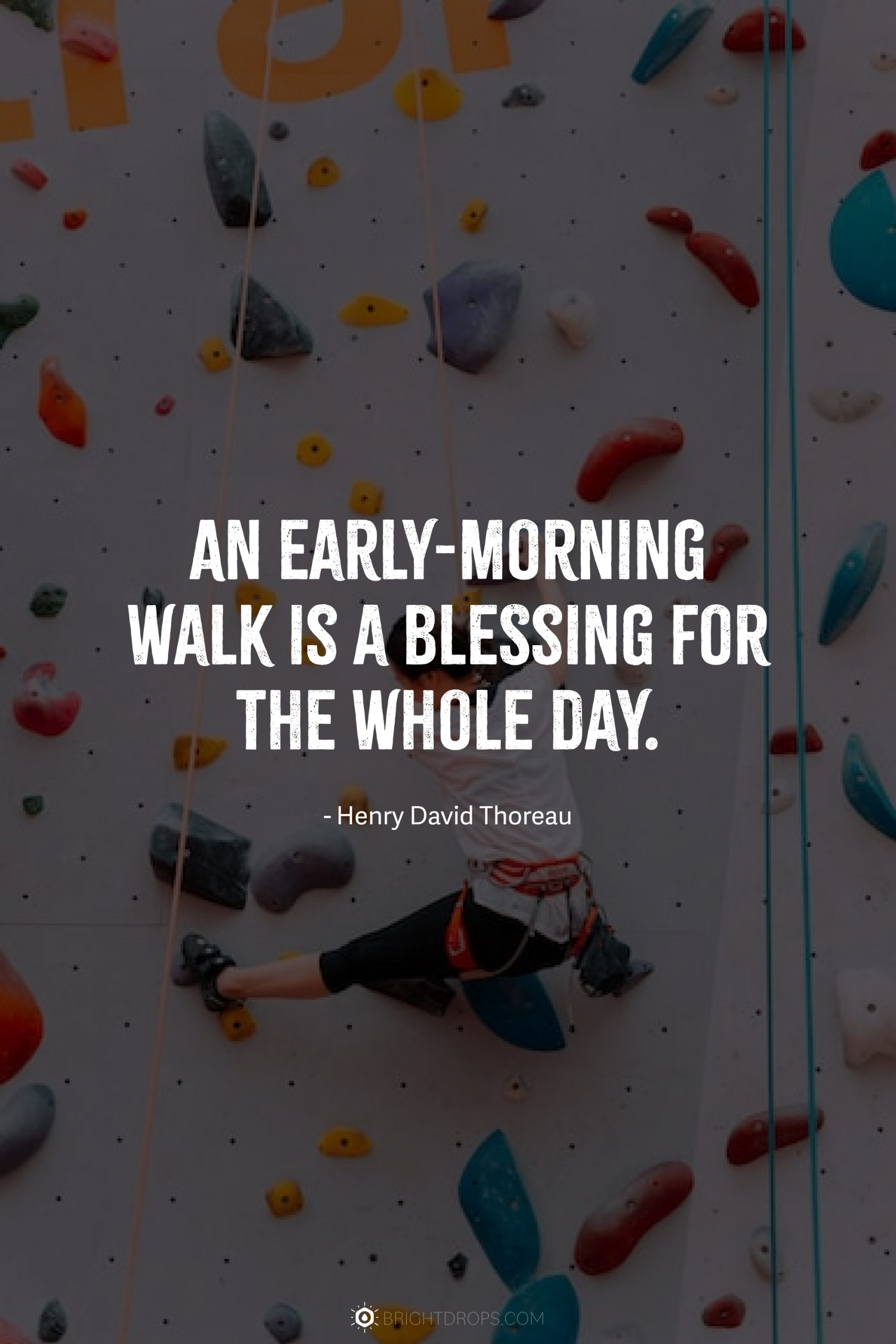 An early-morning walk is a blessing for the whole day.