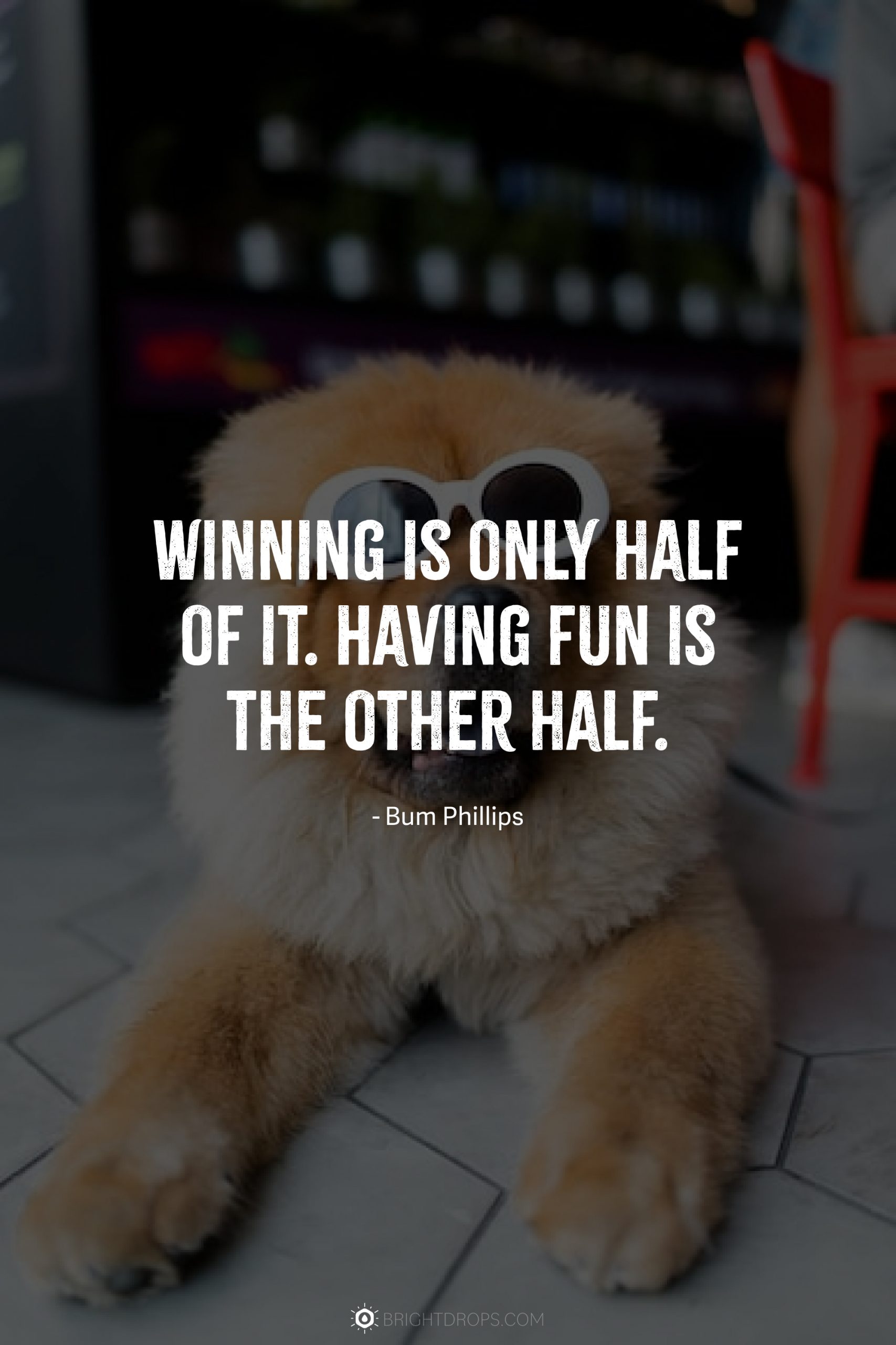 Winning is only half of it. Having fun is the other half.