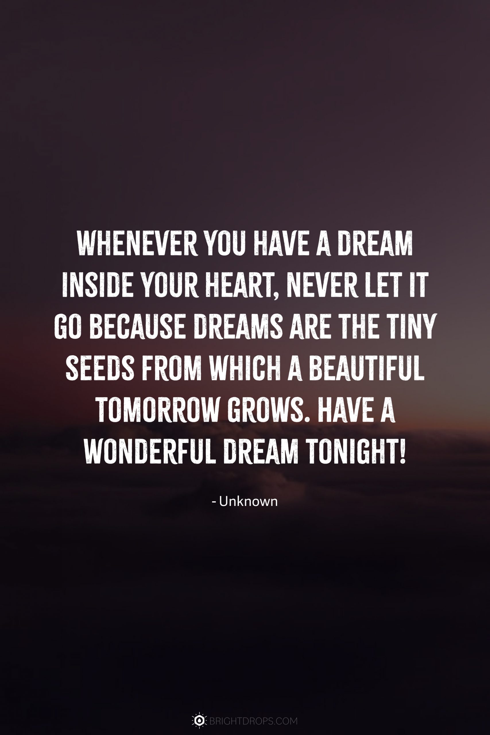 Whenever you have a dream inside your heart, never let it go because dreams are the tiny seeds from which a beautiful tomorrow grows. Have a wonderful dream tonight!